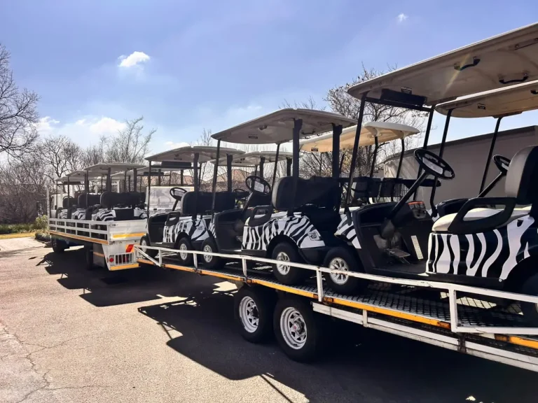 ASAIPA Foundation Golf Day 2026 – photo 1