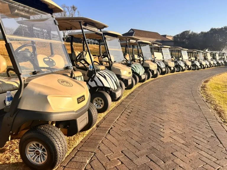 ASAIPA Foundation Golf Day 2026 – photo 9