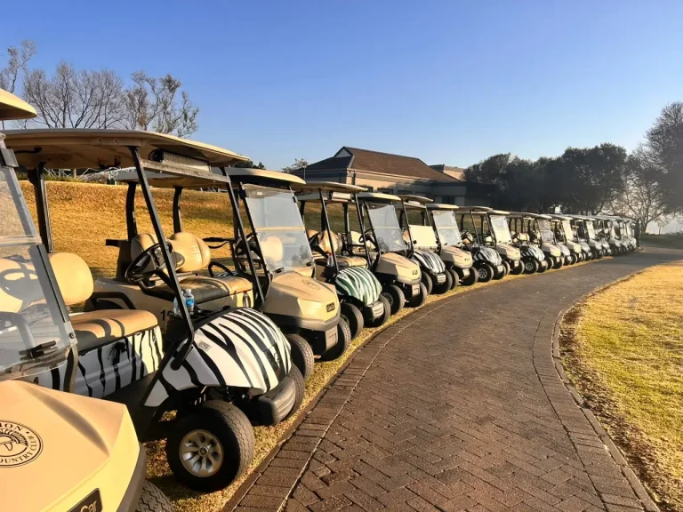 ASAIPA Foundation Golf Day 2026 – photo 10